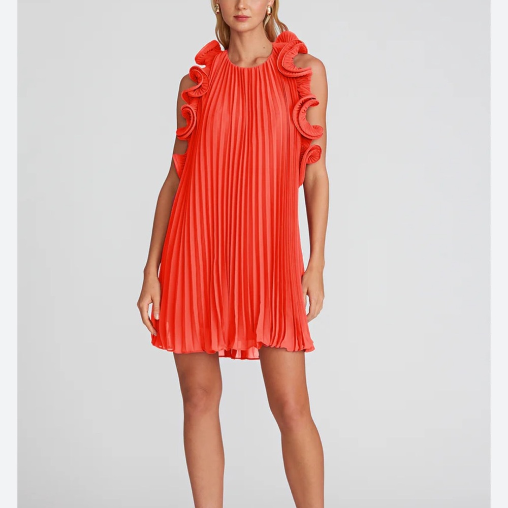 AMUR Mimi Ruffled Pleated Mini Dress - Picture 3 of 9